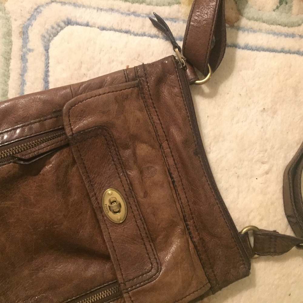 Roomy Fossil Set